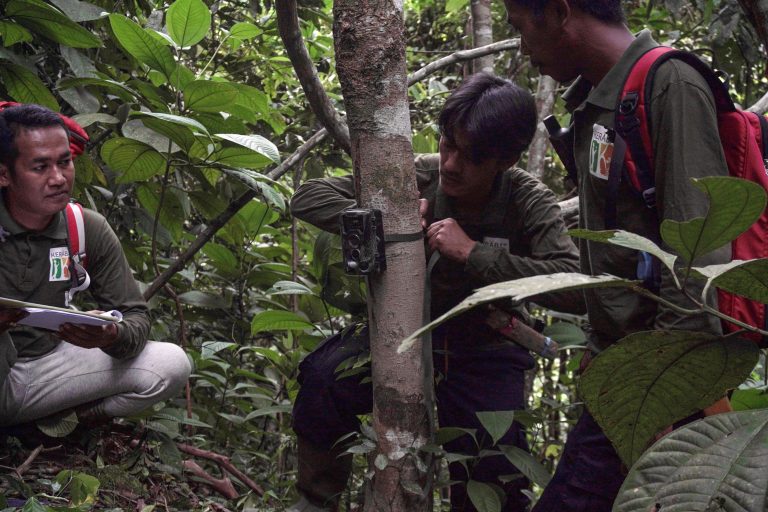 Camera Trap Instalment