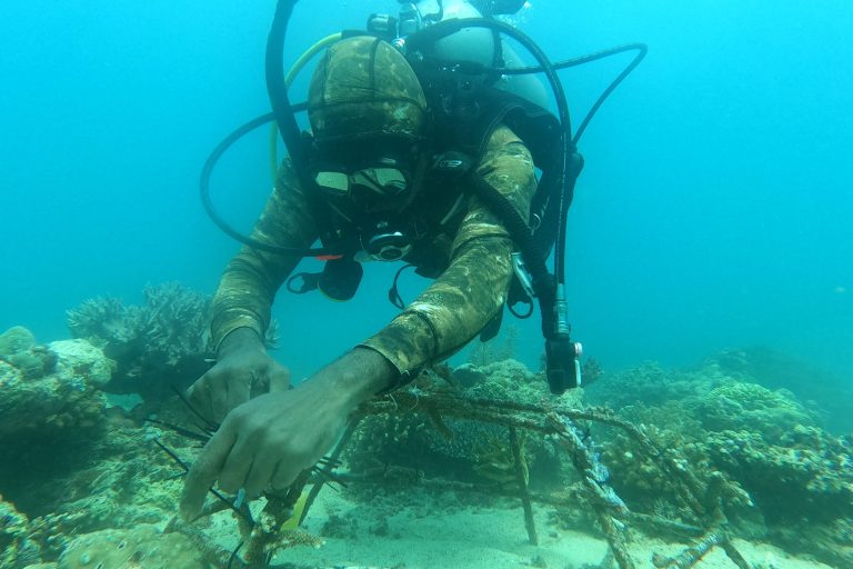 DCIM100GOPROGOPR9790.JPG